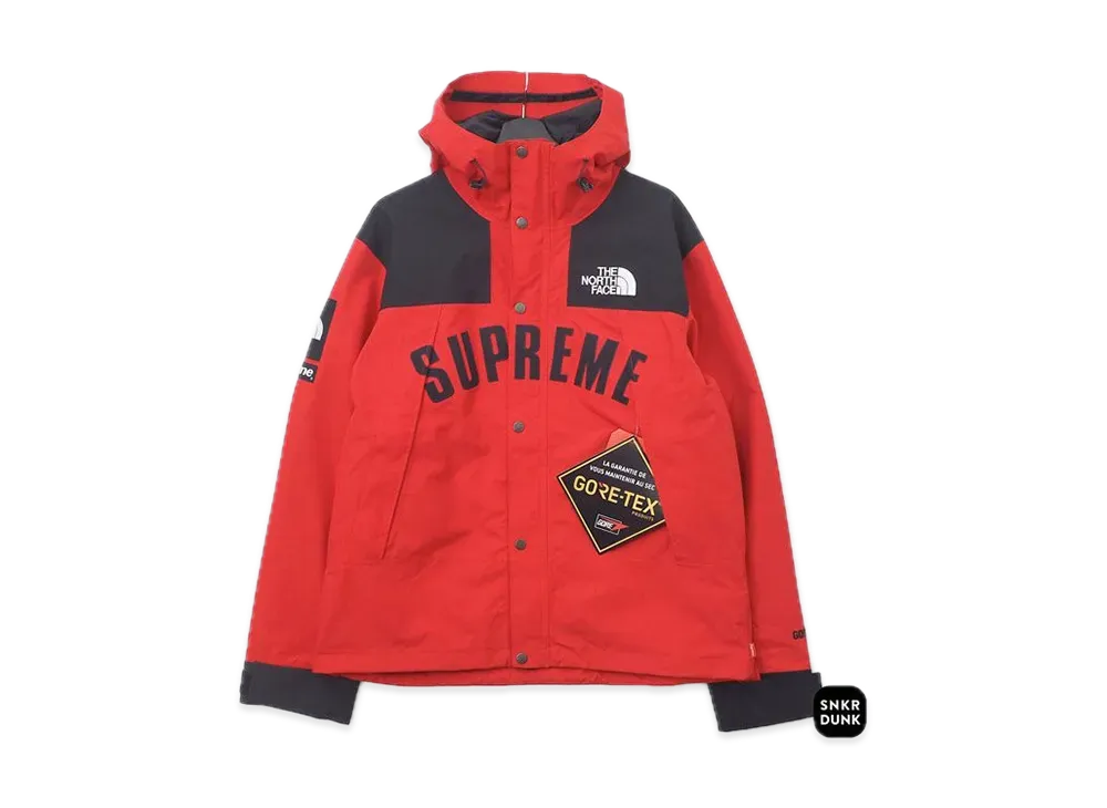 Supreme x The North Face Arc Logo Mountain Parka 