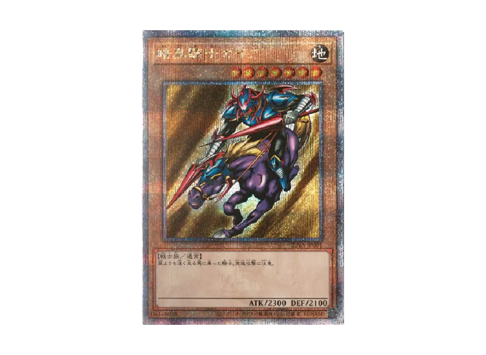 暗黒騎士ガイア 25th SE [23YA-JP001](エリア チャンピオンシップ 2023