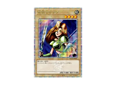 女剣士カナン 25th SE [QCLP-JP001](クォーター・センチュリー