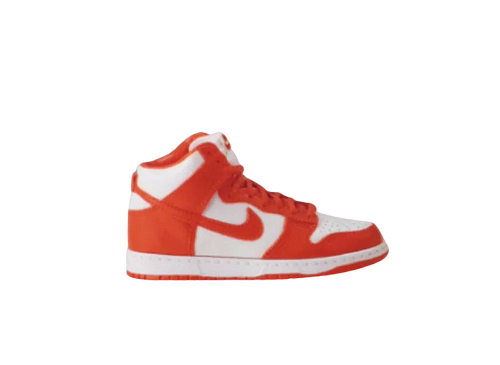 プレミアムバンダイ × ナイキ ダンクハイ ミニチュアコレクション