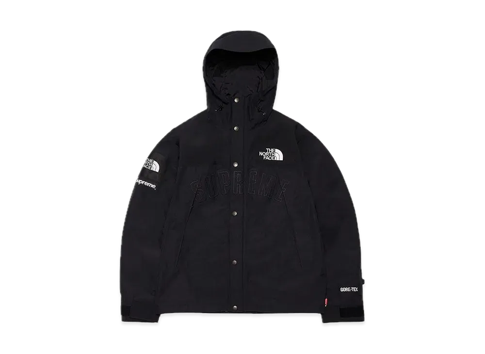 Supreme x The North Face Arc Logo Mountain Parka 