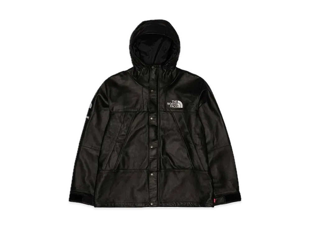 Supreme x The North Face Leather Mountain Parka 