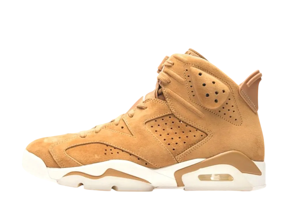 Nike Air Jordan 6 Retro 
