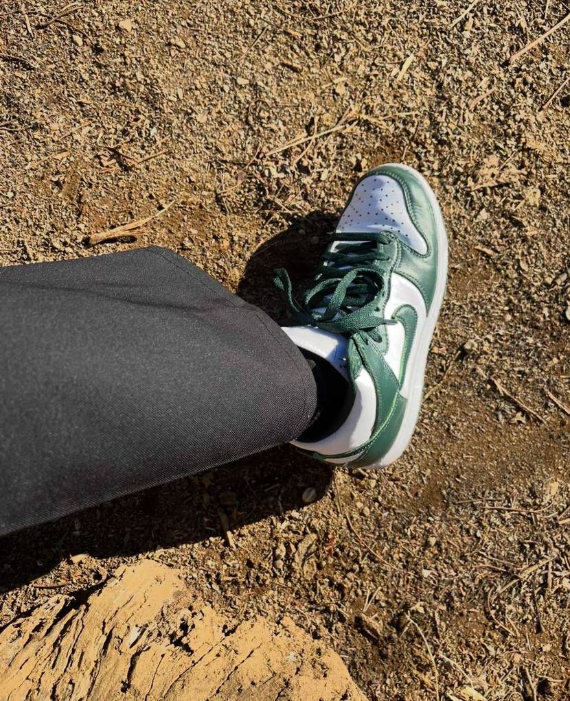 ナイキ ダンク ハイ 