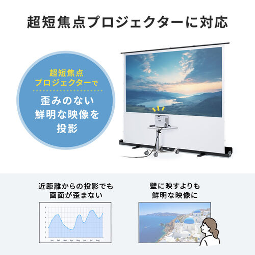サンワダイレクト本店 サンワサプライ【オフィス・PC周辺通販】