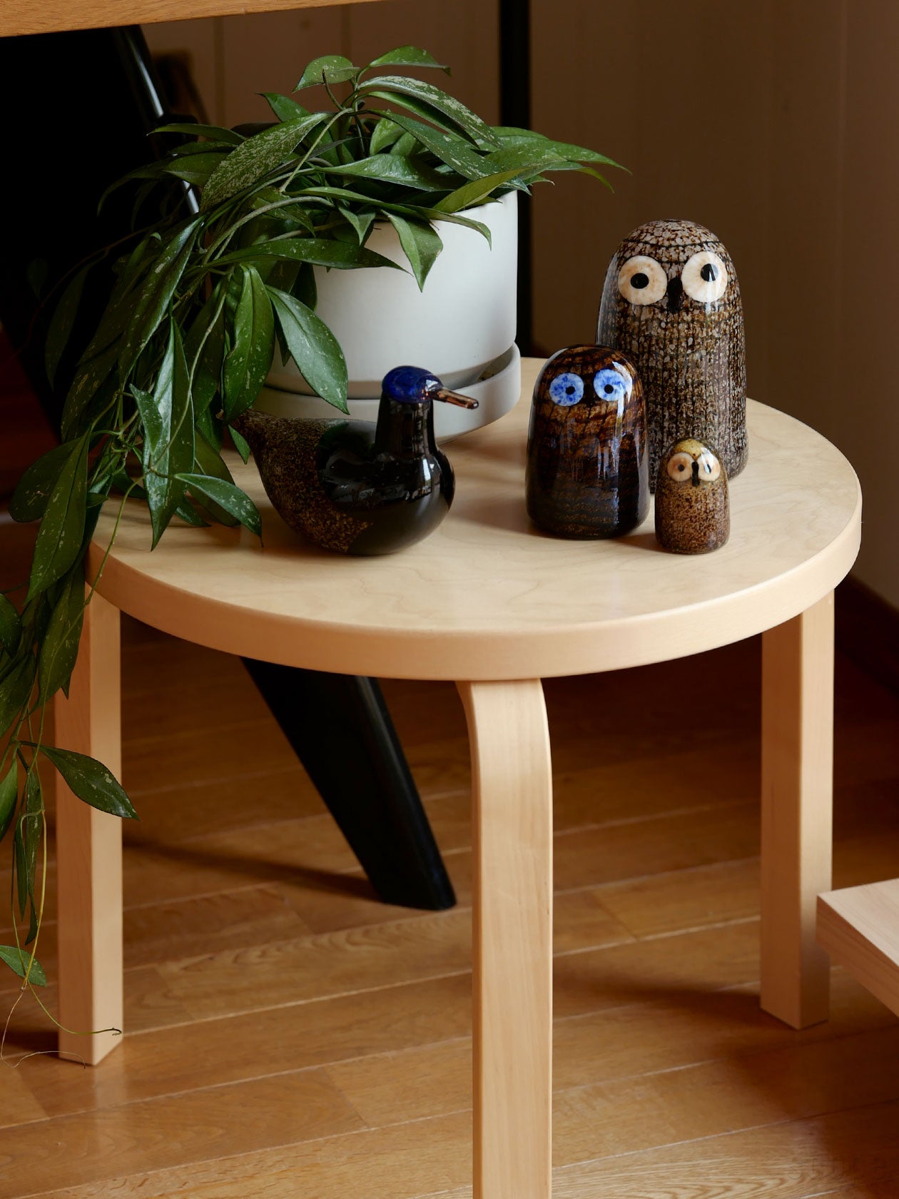 Birds by Toikka | Little Barn Owl | iittala