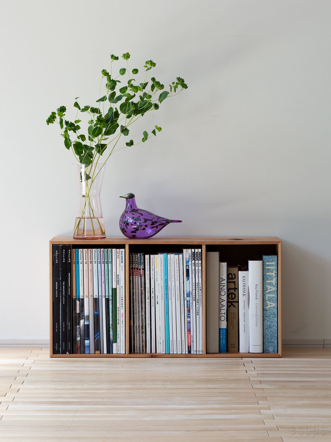 messy S6 | SCOPE (スコープ)