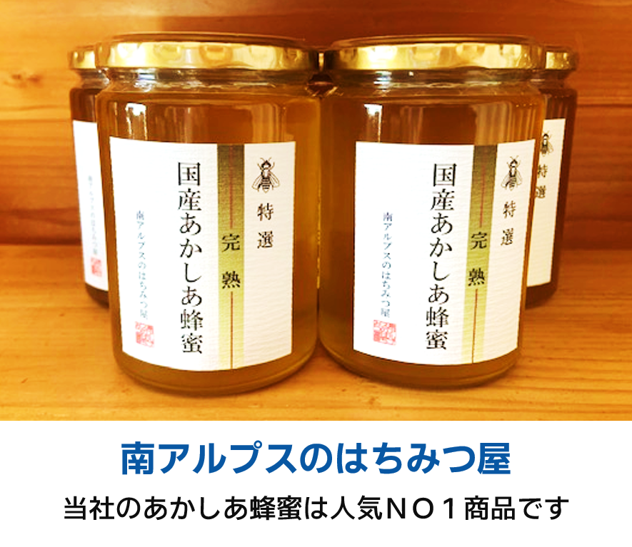 第13回SHIDAマルシェin魚(とと)フェス | しずおか焼津信用金庫