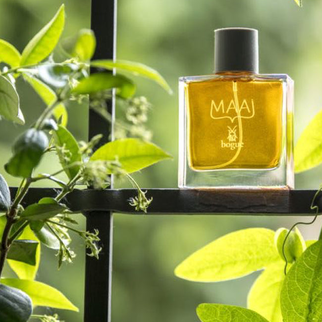 bogue profumo（ボーグ・プロフーモ）日本初上陸、オンライン先行発売