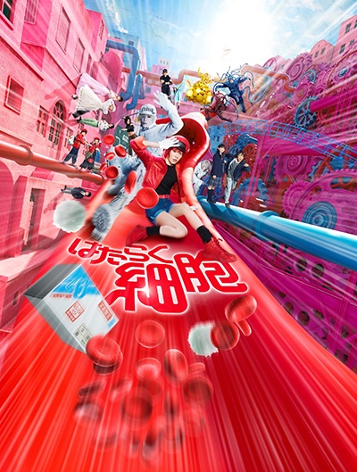 はたらく細胞 - レンタルDVD｜TSUTAYA レンタル・販売 商品在庫検索