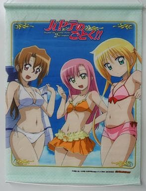 駿河屋 -<中古>ナギ＆マリア＆ヒナギク(水着) タペストリー 「ハヤテの