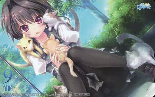 駿河屋 -【アダルト】<中古>結城希亜「9-nine-」 シーガル特典