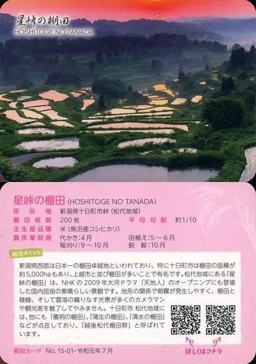 星峠の棚田 棚田カード　１０枚 棚田カード 星峠の棚田 - メルカリ