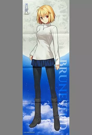 ポスター B2半裁販促ポスター 月姫 2026年最新】Yahoo!オークション -月姫(ポスター)の中古品・新品・未