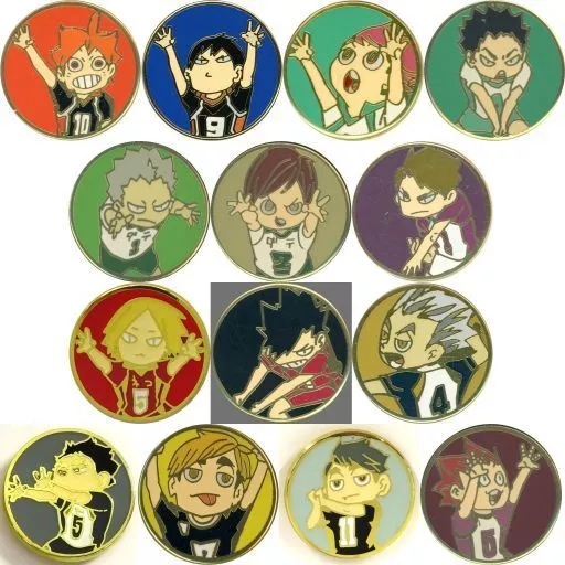 駿河屋 -<中古>全14種セット 「ハイキュー!!展 東京 ピンズ」（バッジ