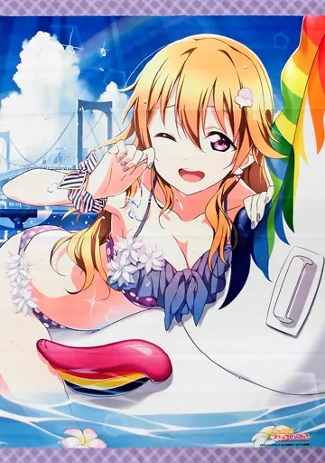 駿河屋 -<中古>近江彼方 水着タペストリー 「ラブライブ!虹ヶ咲学園