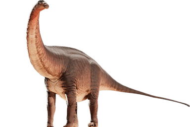 アパトサウルス ajax | 動物図鑑 | 先史時代の王国