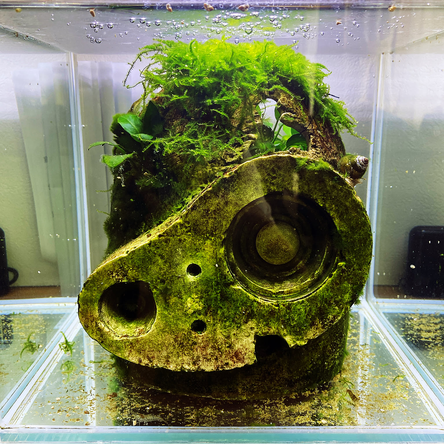 天空の城ラピュタロボット兵のインテリア実例 ｜ RoomClip（ルーム