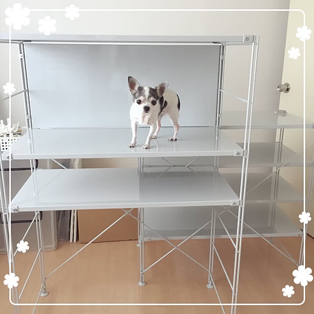 スチールユニットシェルフ バックパネルのおすすめ商品とおしゃれな