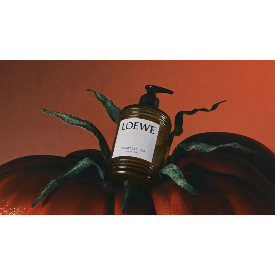 LOEWE Tomato Leaves Liquid Soap - Handwash - 360ml - Proluca Interiors