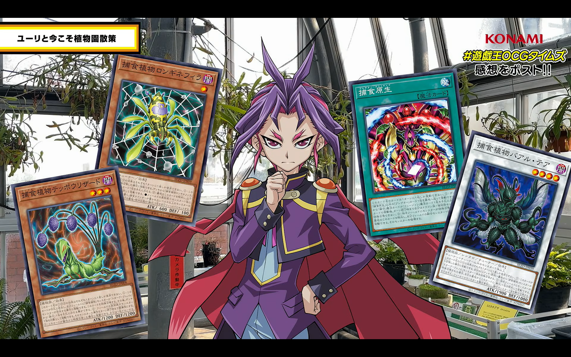 YGOrganization | Taking A Stroll Through A Botanical Garden With