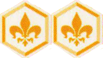 PR 初めてのプール パトリシア(サイン入り) 販売 | HARUKAZE