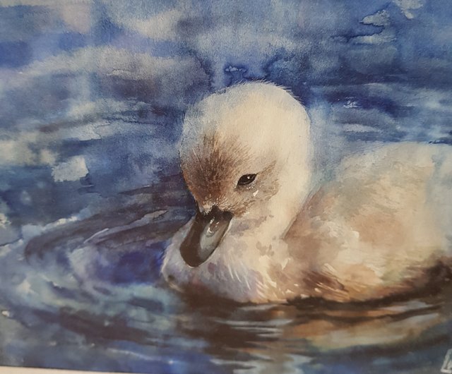 送料無料】ロシア 小さな白鳥 – アートワーク手描きの水彩画、紙に