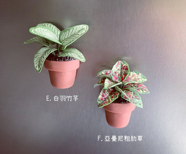 台湾 ミニ観葉植物の鉢植えマグネット_全6種。粘土製のフェイク
