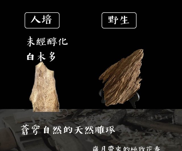 送料無料 9%OFF】台湾 【希少モデル】ワイルドニャチャン沈香置物（中