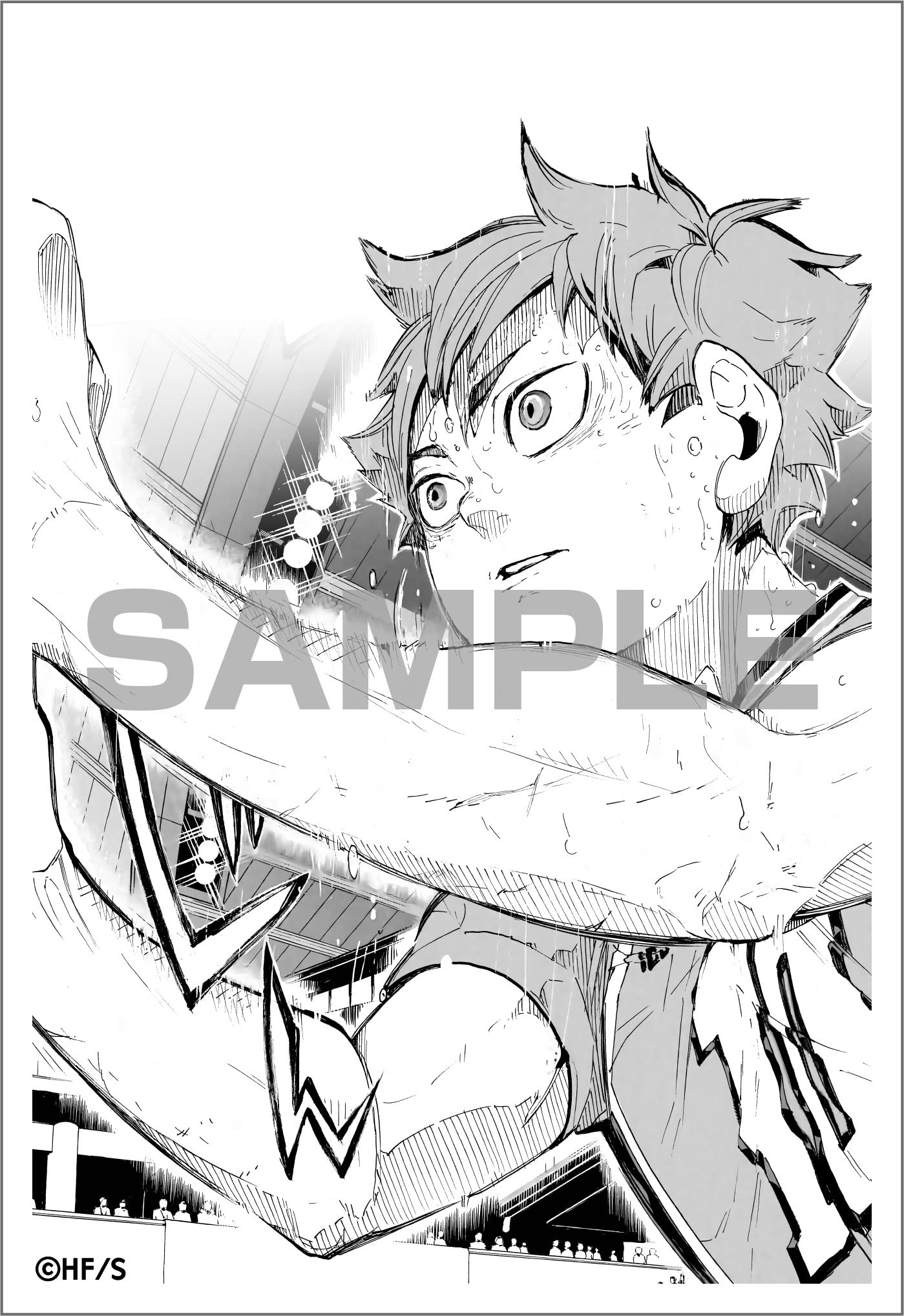 ハイキュー!! 10thクロニクル グッズ付き同梱版 - Haikyu !! 10th