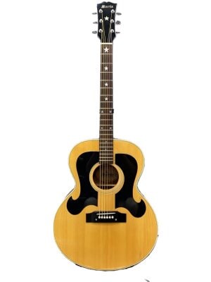 Cat's Eyes(キャッツアイ) / CE-500 アコースティックギター