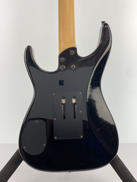FERNANDES(フェルナンデス) / エレキギター/ストラトタイプ/黒系