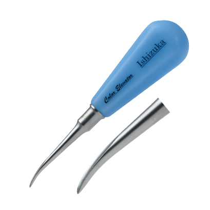 FEEDデンタル】カラーエレベーターの通販｜エレベーター