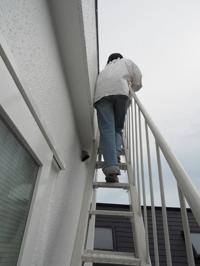 カネコアヤノ NO MUSIC, NO LIFE.メイキングレポート - TOWER RECORDS