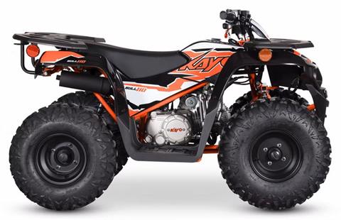 Kayo For Sale: Inventory at Sleeping Bear Motor Sports, Honor MI