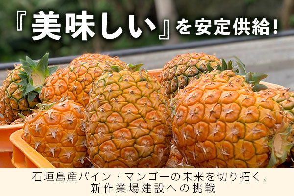 石垣島産パイナップル・マンゴーの品質向上と販路拡大のための作業場