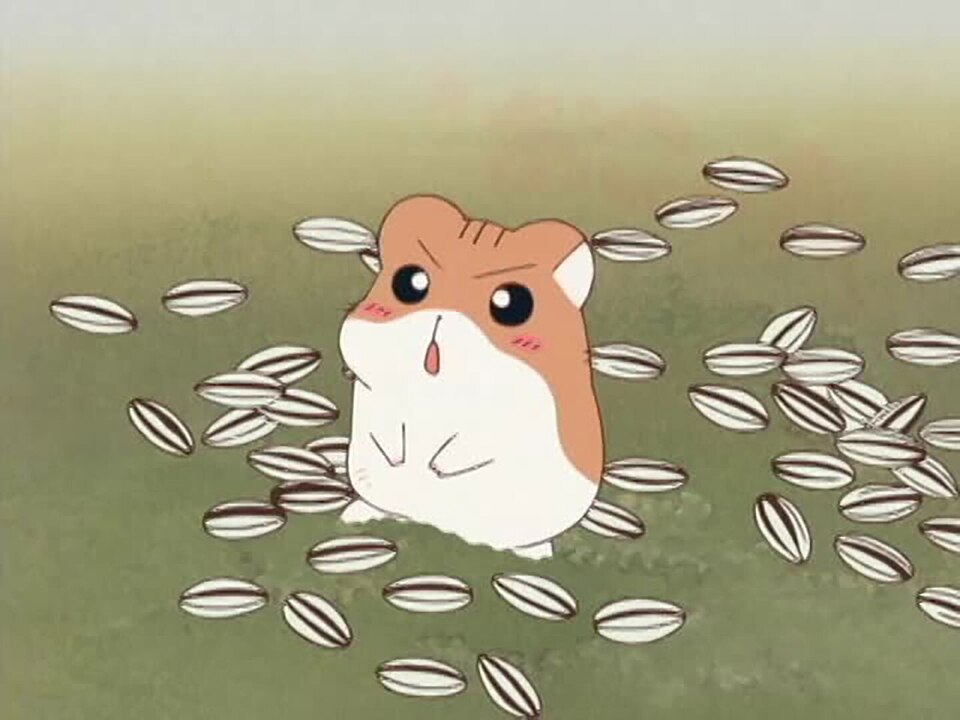 ハムスター倶楽部 ＃1～＃10| バンダイチャンネル｜最新作から不朽