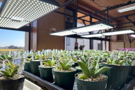 BN013-1 あらゆる植物・野菜・果樹に使用できる広角照射モデル 植物