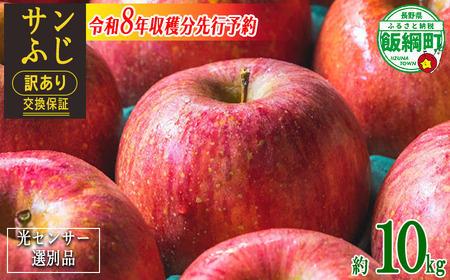 感謝りんご / 光センサー選別品 】 りんご サンふじ 訳あり 10kg （ 24