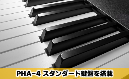 Roland】88鍵MIDIキーボードコントローラー/A-88MKII【配送不可：離島