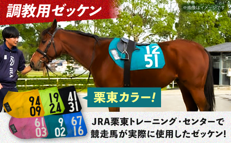 競馬 馬名前入り 第57回日本ダービー 文字プリント 浴衣2枚セット