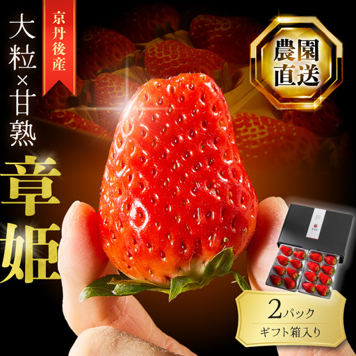 イチゴ 章姫 8-11粒×2パック | いちご | 京都府京丹後市 | ふるさと