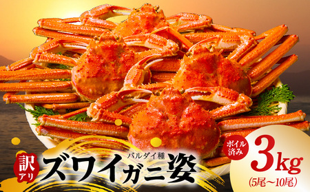 訳あり規格】バルダイ種 ズワイガニ姿 3kg（5～10尾） | 大阪府泉佐野
