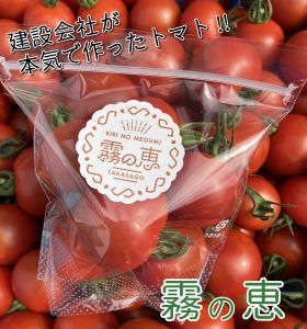 霧の恵(ミディトマト) 甘み・旨みのバランスがよく、口当たりの良い
