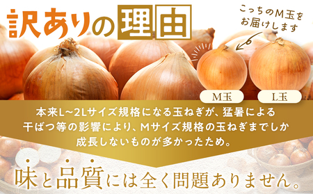 訳あり】数量限定 特別栽培玉ねぎ M玉 20kg | 訳あり M玉 玉ねぎ