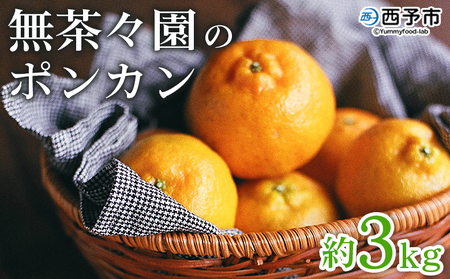 先行予約 ＜無茶々園のポンカン 約3kg＞ 果物 くだもの フルーツ