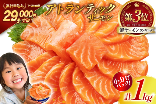 ノルウェー産 アトランティックサーモン 総重量 1kg 小分け サーモン
