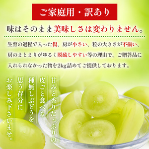 ご家庭用】シャインマスカット 2kg入り 1箱 [後半]【令和8年産先行予約