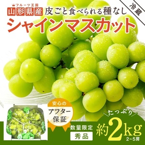 2026年発送】山形のぶどう(シャインマスカット)約2kg（2～5房）_H063