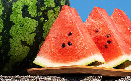 尾花沢産スイカ すいか 5Lサイズ 約10kg×2玉 令和8年産 kb-su5xx2